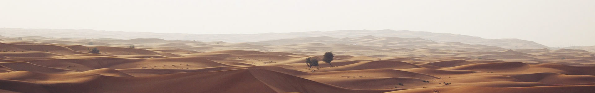 ൺƼ޹˾